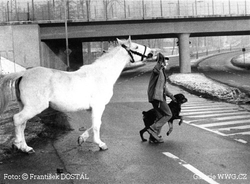 Foto: &copy; František Dostál